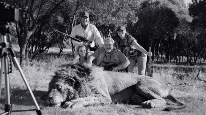 Four people are posing with a dead lion. One of the people to the left of the photo is holding a shotgun.