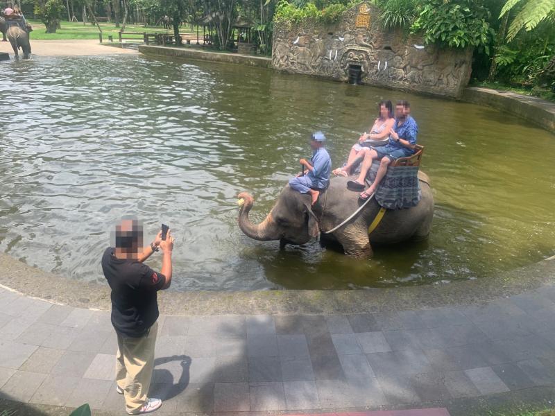 A man photographing a group of people riding on an elephant in water.