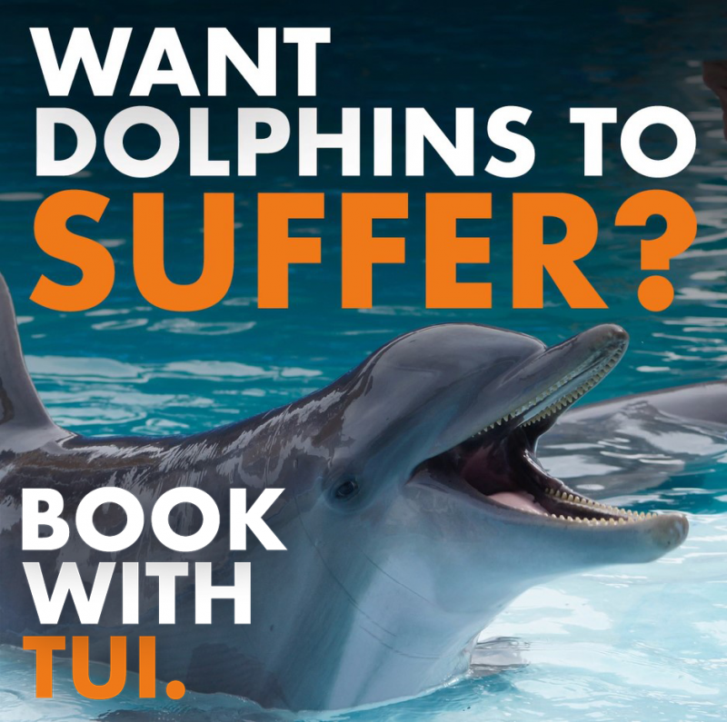 A captive dolphin is posed in a pool with overlaying text: Want dolphins to suffer? Book with TUI.