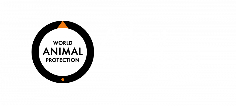 World Animal Protection - Adopt an animal logo
